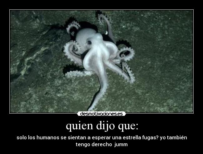 quien dijo que: - solo los humanos se sientan a esperar una estrella fugas? yo también
tengo derecho jumm