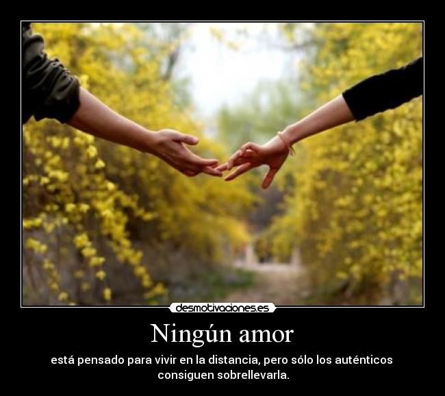 Ningún amor - 