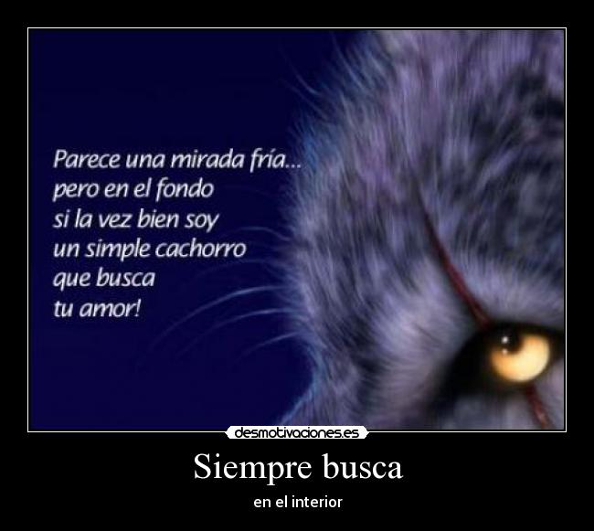 Siempre busca -