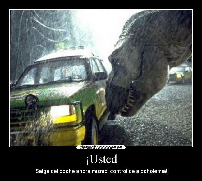 ¡Usted - Salga del coche ahora mismo! control de alcoholemia!