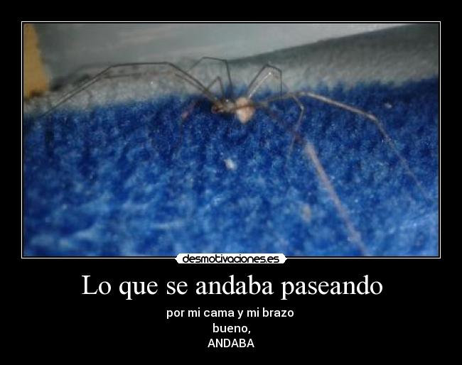 Lo que se andaba paseando - 
