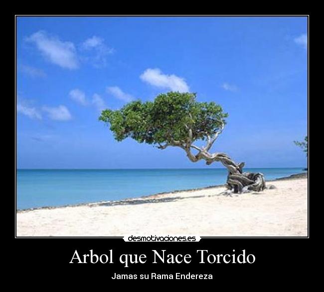 Arbol que Nace Torcido - Jamas su Rama Endereza