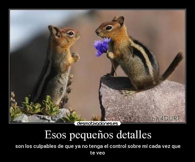 Esos pequeños detalles - son los culpables de que ya no tenga el control sobre mí cada vez que te veo