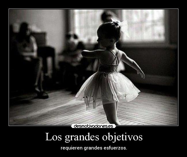 Los grandes objetivos -