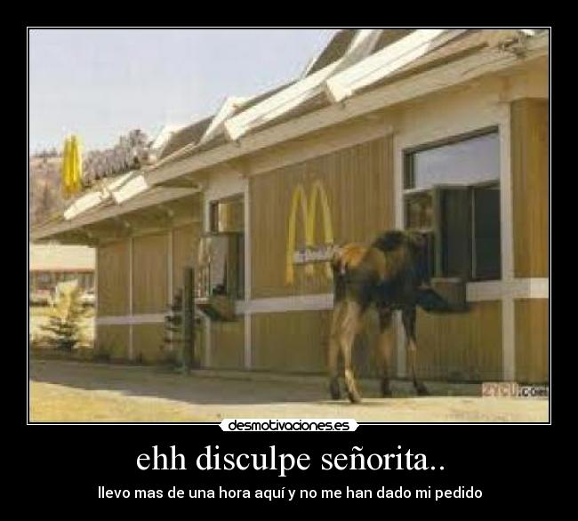 ehh disculpe señorita.. - llevo mas de una hora aquí y no me han dado mi pedido