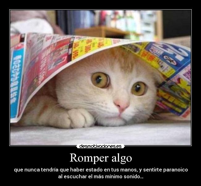 carteles ayer rompi algo jeje desmotivaciones