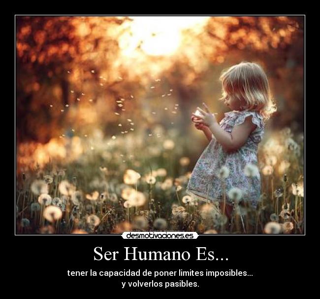 carteles farid santini desmotivaciones