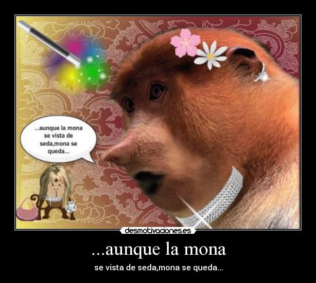 ...aunque la mona - se vista de seda,mona se queda...