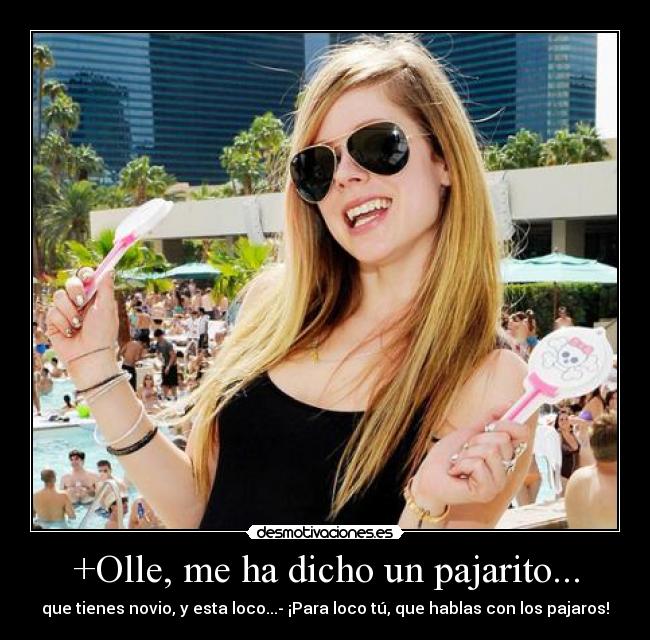 +Olle, me ha dicho un pajarito... - 