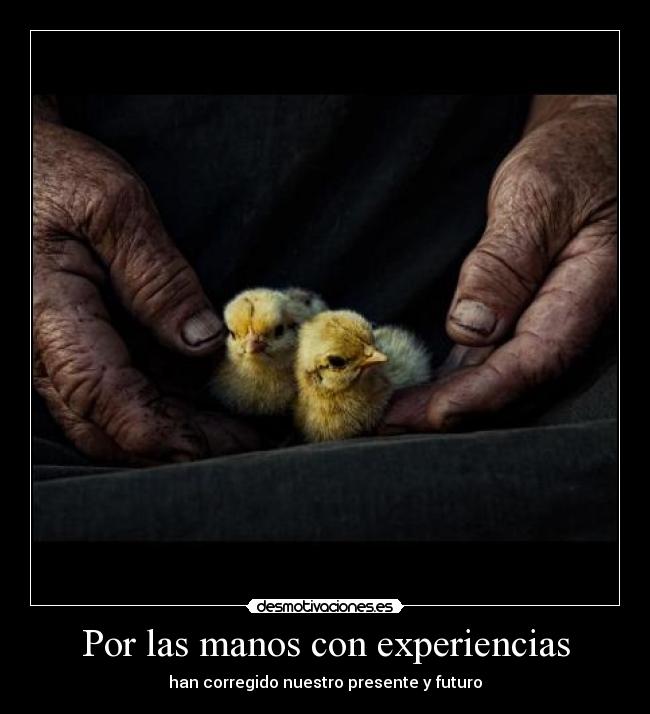 Por las manos con experiencias - han corregido nuestro presente y futuro