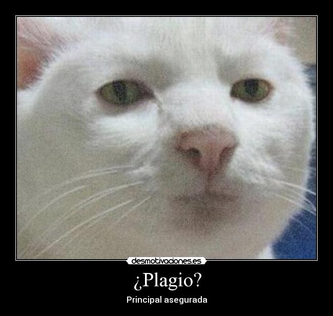 carteles slipkdemon intruders clandesplazado clanhorde catkillers walt ban desmotivaciones