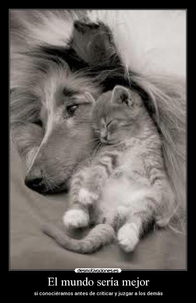 carteles mundo ale desmotivaciones