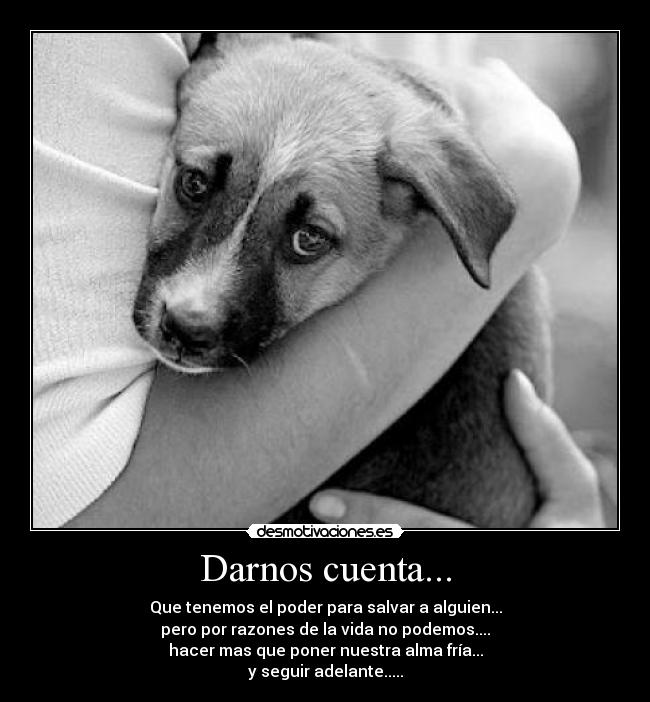 Darnos cuenta... - Que tenemos el poder para salvar a alguien...
pero por razones de la vida no podemos....
hacer mas que poner nuestra alma fría...
y seguir adelante.....