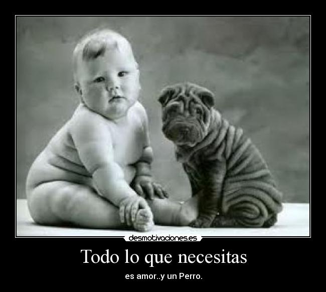 Todo lo que necesitas - es amor..y un Perro.