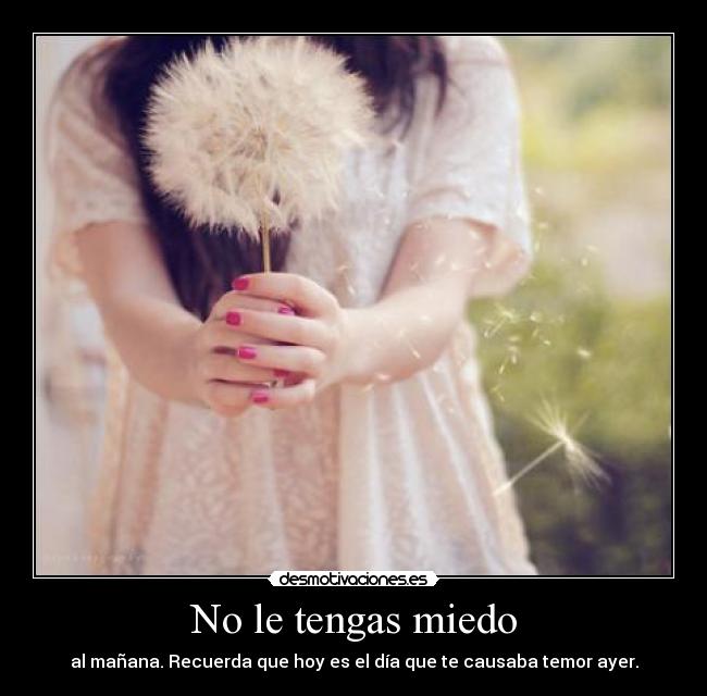 No le tengas miedo - 