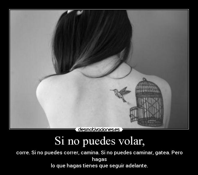 Si no puedes volar, - corre. Si no puedes correr, camina. Si no puedes caminar, gatea. Pero hagas
lo que hagas tienes que seguir adelante.