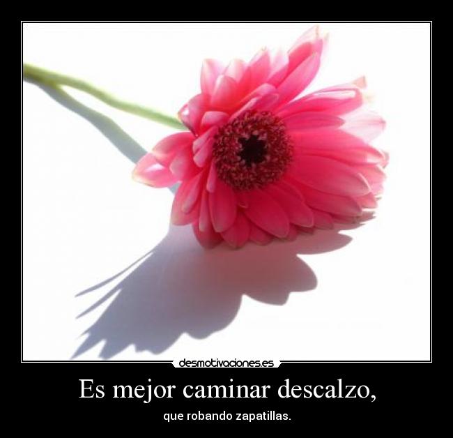 carteles frase celebre ernesto che guevara que utilizo para expresar opinion este cartel desmotivaciones