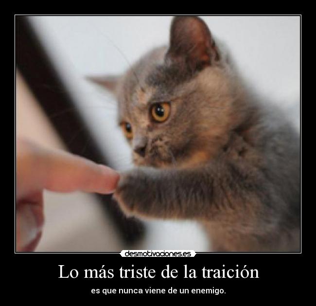 Lo más triste de la traición - es que nunca viene de un enemigo.
