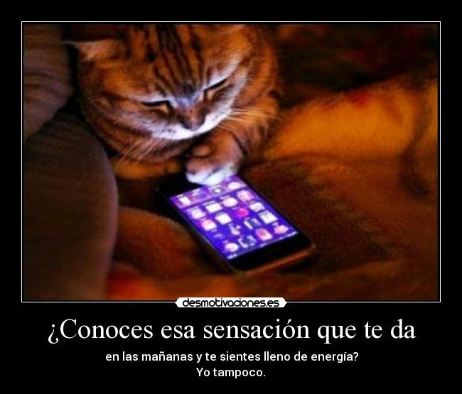 ¿Conoces esa sensación que te da - en las mañanas y te sientes lleno de energía?
Yo tampoco.