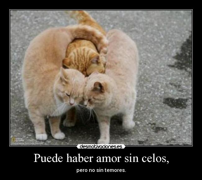 Puede haber amor sin celos, - pero no sin temores.