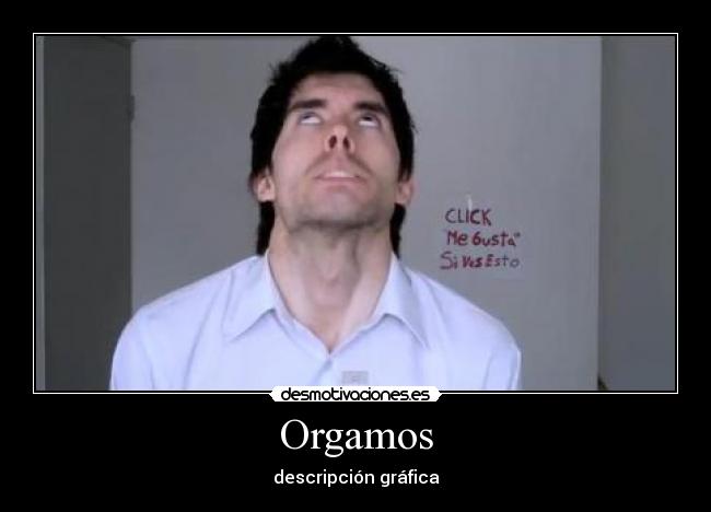 Orgamos - descripción gráfica