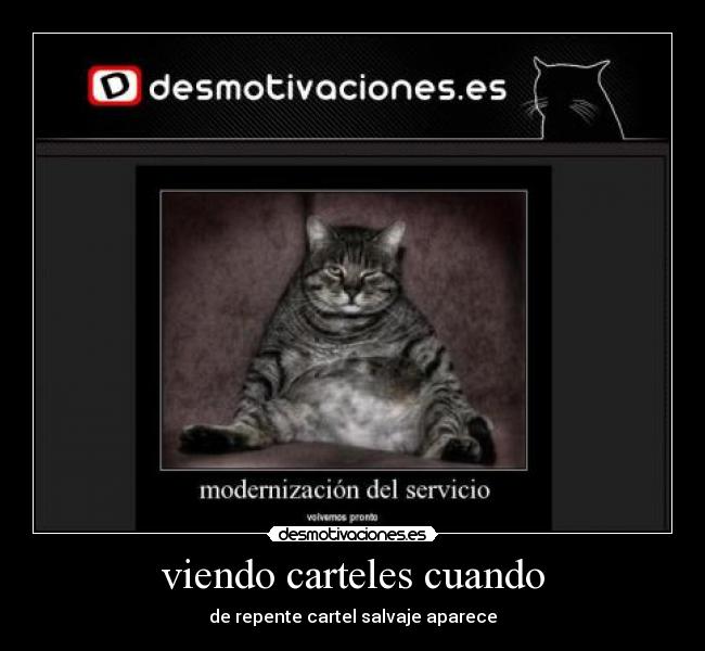 viendo carteles cuando - 