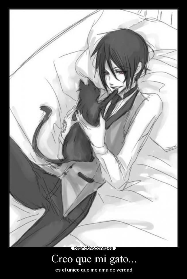 Creo que mi gato... -