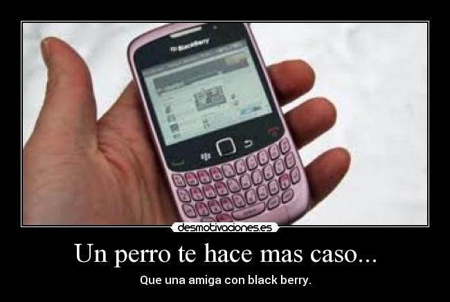 Un perro te hace mas caso... - Que una amiga con black berry.