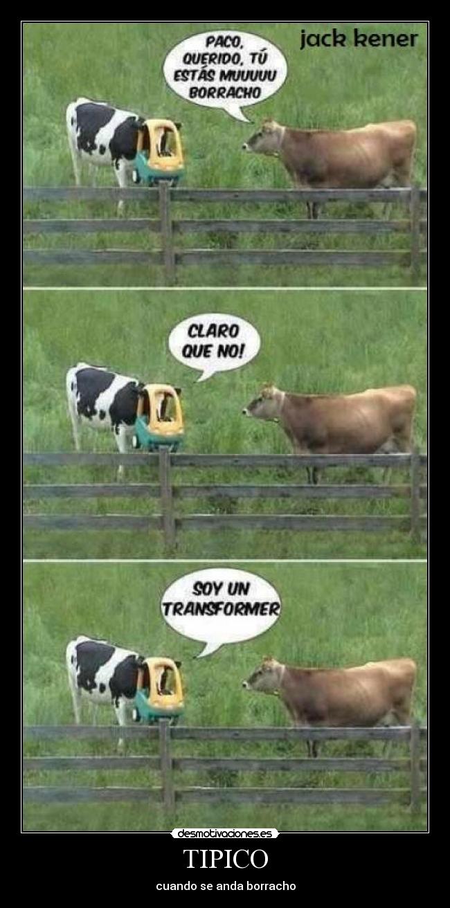 TIPICO - cuando se anda borracho
