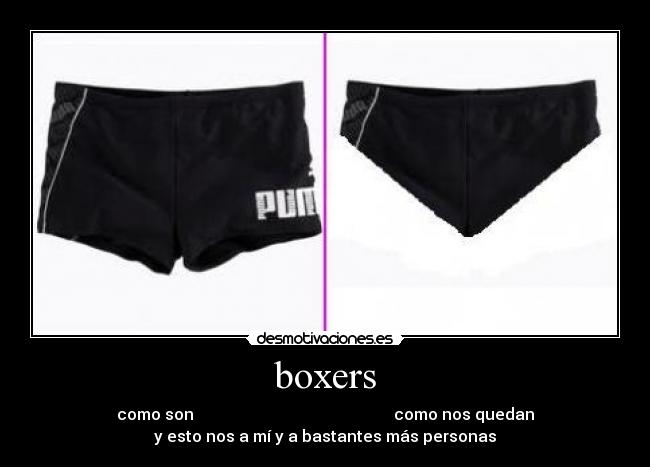 boxers - 