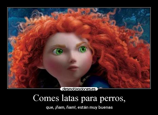 Comes latas para perros, - que, ¡ñam, ñam!, están muy buenas