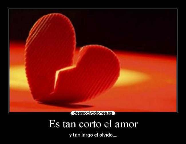 Es tan corto el amor -