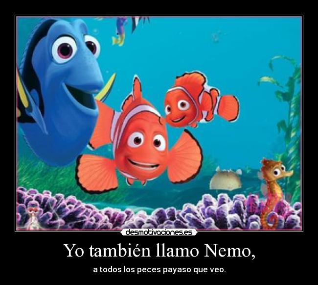 Yo también llamo Nemo, -