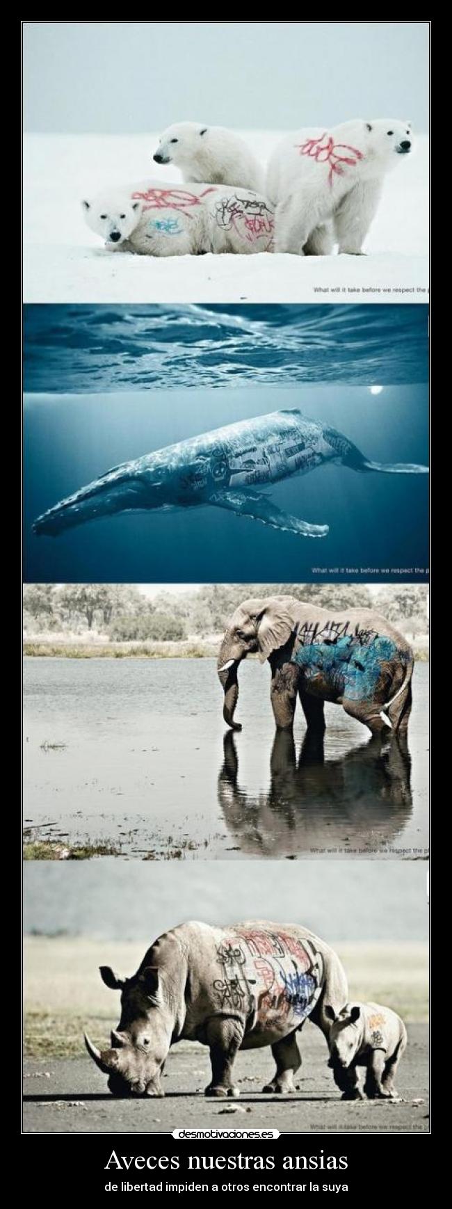 Aveces nuestras ansias - 