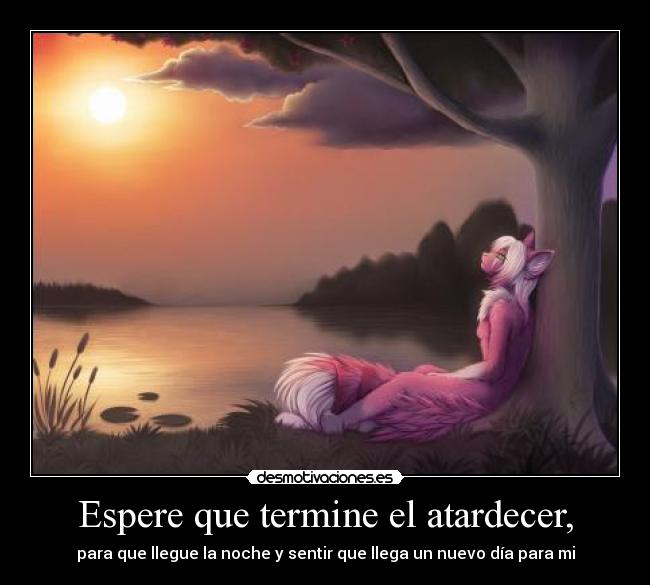 Espere que termine el atardecer, - para que llegue la noche y sentir que llega un nuevo día para mi