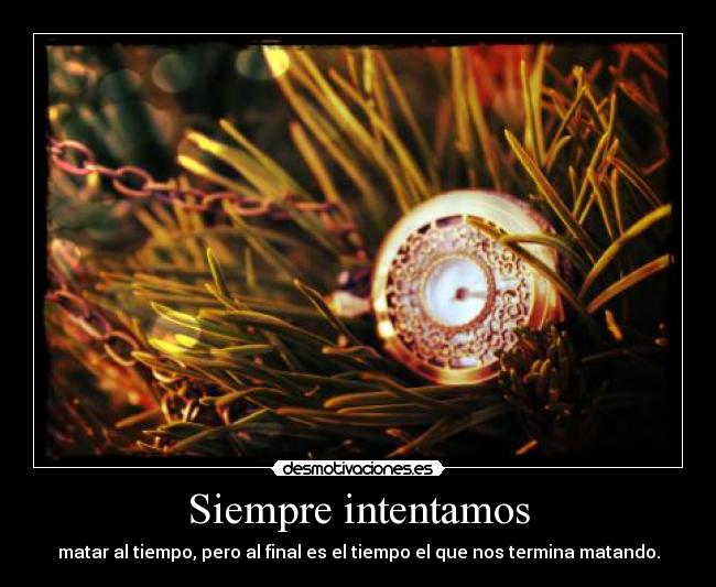Siempre intentamos -