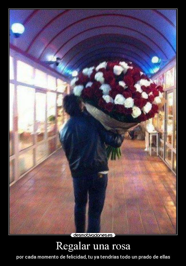 Regalar una rosa -