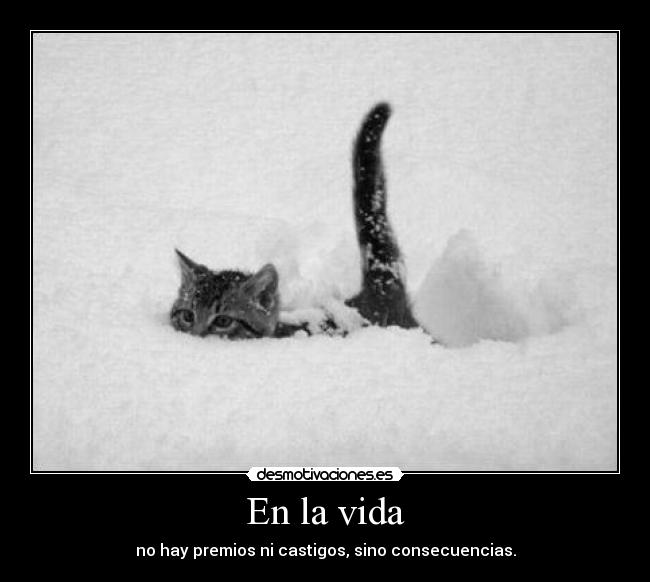 En la vida -