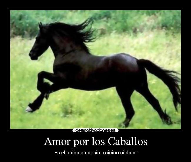 Amor por los Caballos - Es el único amor sin traición ni dolor