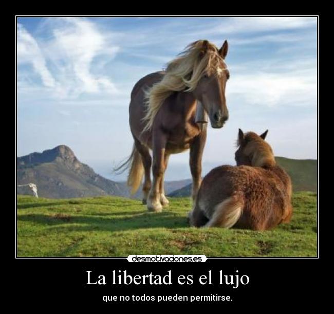 La libertad es el lujo - que no todos pueden permitirse.