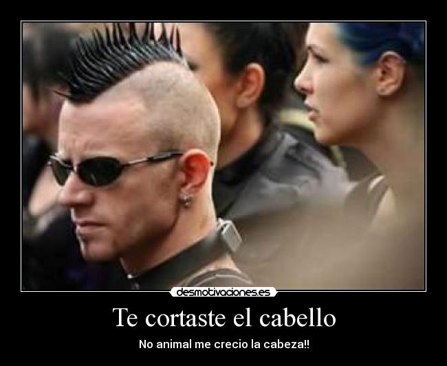 Te cortaste el cabello - No animal me crecio la cabeza!!