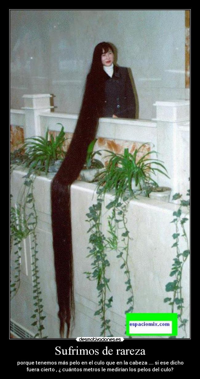 Sufrimos de rareza - porque tenemos más pelo en el culo que en la cabeza .... si ese dicho
fuera cierto , ¿ cuántos metros le medirían los pelos del culo?