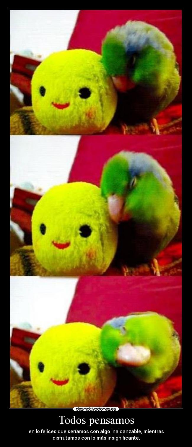 Todos pensamos - en lo felices que seríamos con algo inalcanzable, mientras
disfrutamos con lo más insignificante.