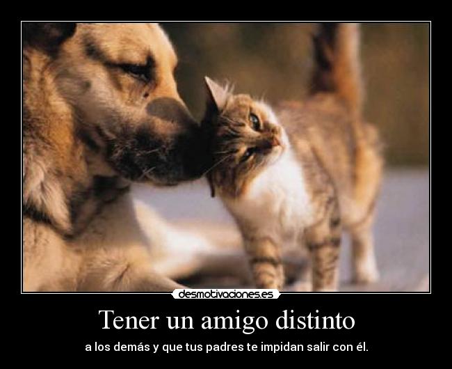 carteles papapitufo pitupac desmotivaciones