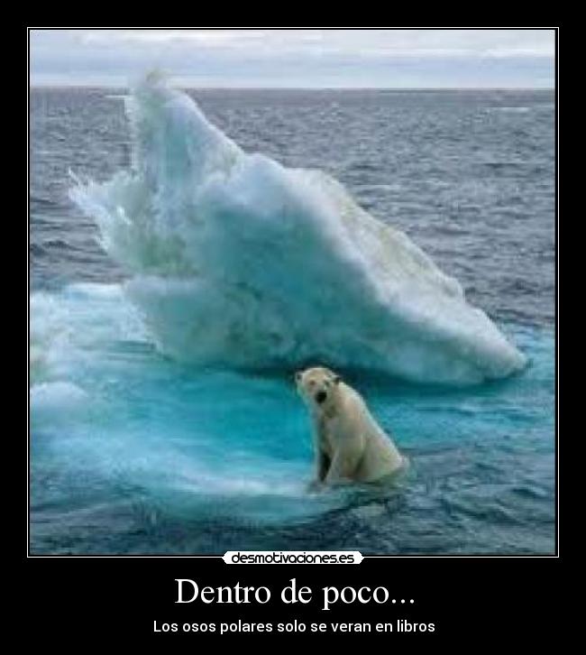 carteles osos polares oso polar que morir por culpa del calentamiento global desmotivaciones