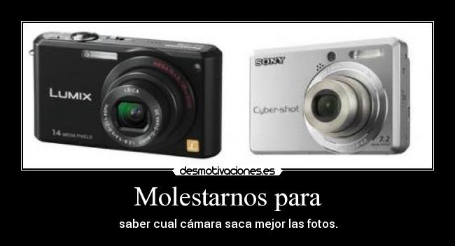 Molestarnos para - saber cual cámara saca mejor las fotos.