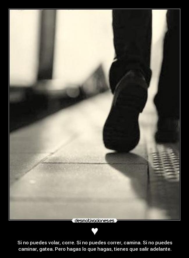 ♥ - Si no puedes volar, corre. Si no puedes correr, camina. Si no puedes
caminar, gatea. Pero hagas lo que hagas, tienes que salir adelante.