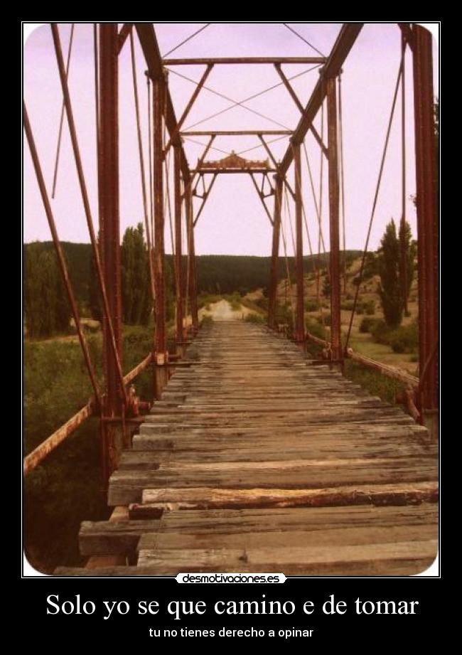 Solo yo se que camino e de tomar - tu no tienes derecho a opinar