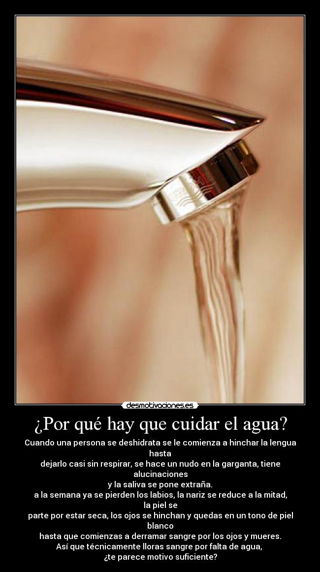 ¿Por qué hay que cuidar el agua? -