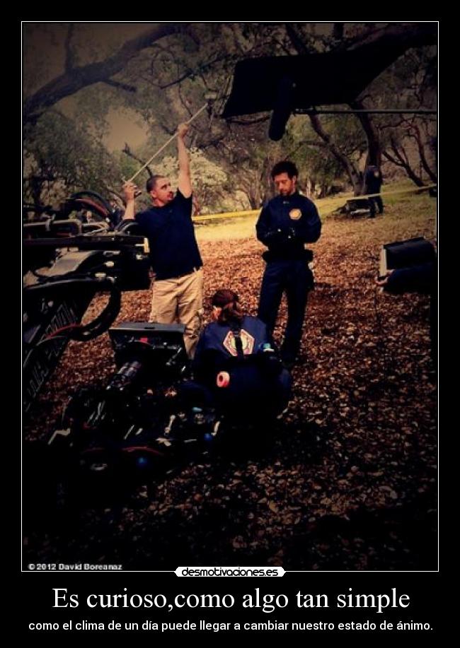 Es curioso,como algo tan simple -